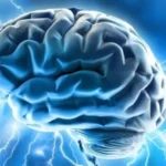 Hamás refuerza su poder en Gaza durante la tregua con Israel