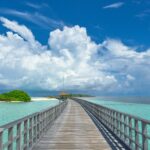 Al Horford, el octavo latinoamericano campeón de la NBA